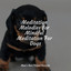 Meditation Melodies for Mindful Meditation For Dogs cover