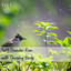 Soft Thunder Rain with Chirping Birds Vol. 1 cover