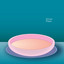 Dinner Plates cover