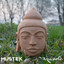 Unknown Title cover