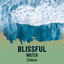 Blissful Water Chillout cover