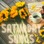 Saturday Songs cover