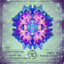 Schattenspiel — Auftritt des Peitschenanglers (Fabian Krooss Remix) cover art