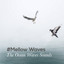 #Mellow Waves cover