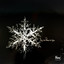 Holiday Music Channel - Your Home For Christmas Classics