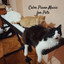 Calm Piano Music for Pets cover