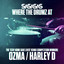 Where the Drumz At - Ozma Remix