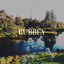 Bubbly cover