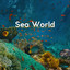 Sea World cover