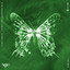 Fringe - Extended Mix