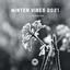 Winter Vibes 2021 (DJ Mix) cover