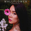 Wallflower cover