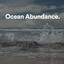 Ocean Abundance cover