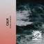 Calm Oceanic Experiences cover
