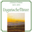 Ungarischer Tanz No. 1 in G Minor cover