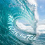 Christopher Dale - Roll With The Tide
