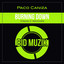 Burning Down - Craig Cs Consolo Mix
