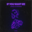If You Want Me - Extended Mix