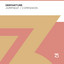 Companion - Extended Mix