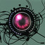 Pupil profile