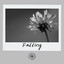 Falling