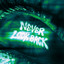 Never Look Back