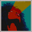 Janesis cover