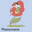 Phenomena cover