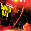 David Ray - All Night Long