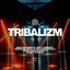 Tribalizm, Wigman, Petchy, FRO & Darkman Zulu — Wigman, Petchy, Fro & Darkman Zulu cover art