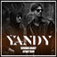 ÝANDY cover
