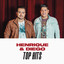 Henrique & Diego Top Hits cover