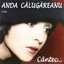 Micul prinț cover