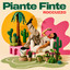 ROCCUZZO - PIANTE FINTE