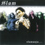 Slamanja cover