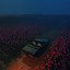Pink Noise