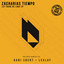 Syncronicity - Dani Sbert Remix