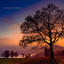 Autumn Evening cover