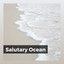 Salutary Ocean cover