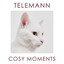 Telemann Cosy Moments cover