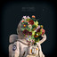 Stars cover