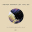 Never Wanna Let You Go feat. Van Jay - Extended Mix