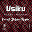 Usiku (Frank Delour Remix) - Radio artwork