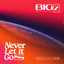 Never Let It Go