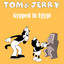 Gypped in Egypt - GR Mix artwork