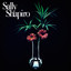 Fading Away Sally Shapiro