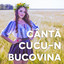 Canta Cucu-n Bucovina cover