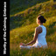 Worthy of the Calming Embrace cover