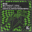 Without You (feat. Hannah Jane Lewis) - Havoc & Lawn Extended Remix