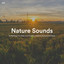 #01 Nature Sounds for Bathing Your Baby and Creating Ambient Background Noise cover